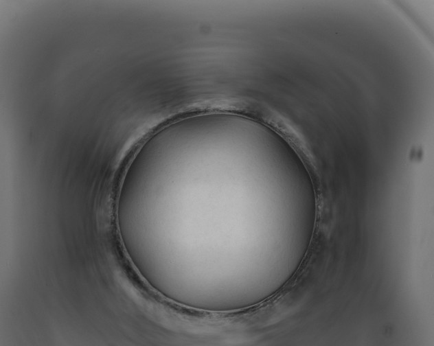 X0000089950012200707061129