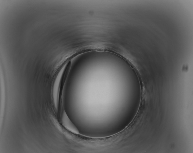 X0000089950013200707061129