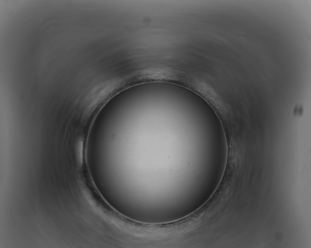 X0000089950014200707061129