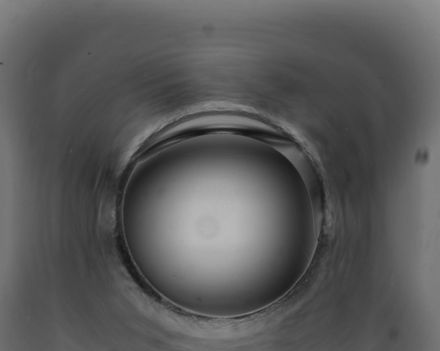 X0000089950015200707061129