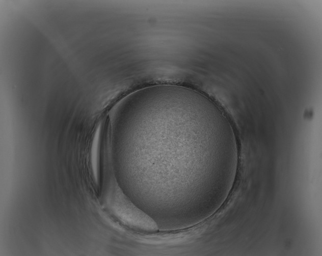 X0000089950017200707061129