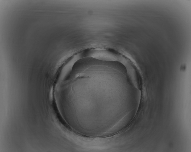 X0000089950019200707061129
