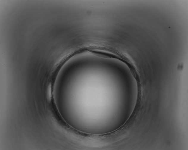 X0000089950020200707061129