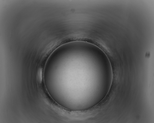 X0000089950022200707061129