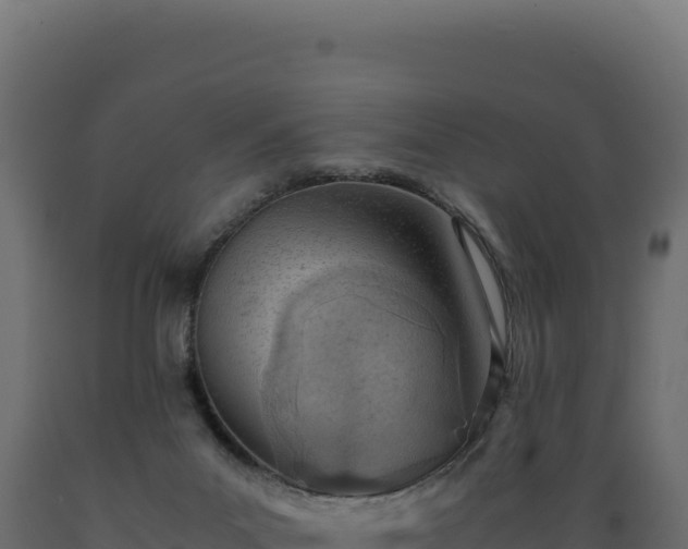 X0000089950023200707061129