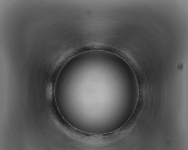 X0000089950024200707061129