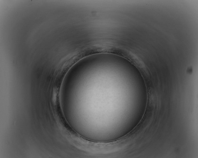 X0000089950026200707061129