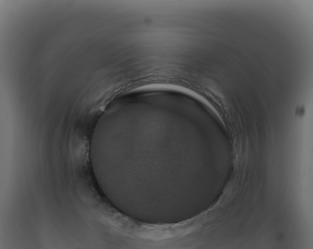 X0000089950029200707061129