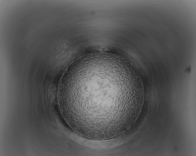 X0000089950030200707061129