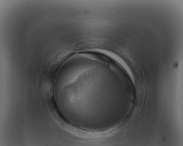 X0000089950031200707061129