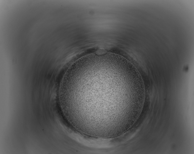 X0000089950032200707061129