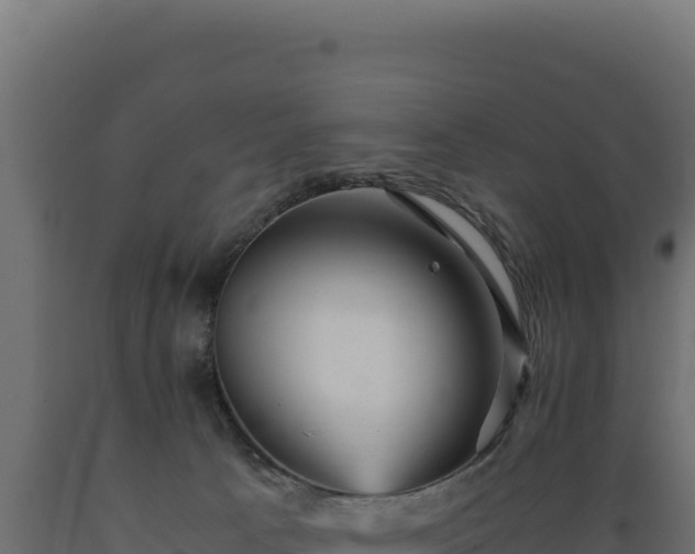 X0000089950033200707061129