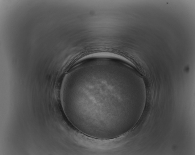 X0000089950035200707061129