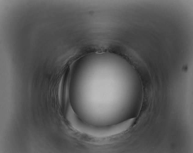 X0000089950037200707061129