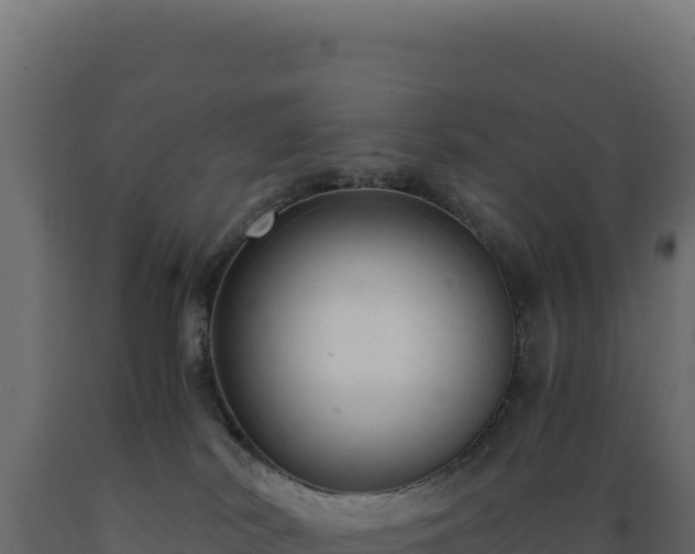 X0000089950038200707061129
