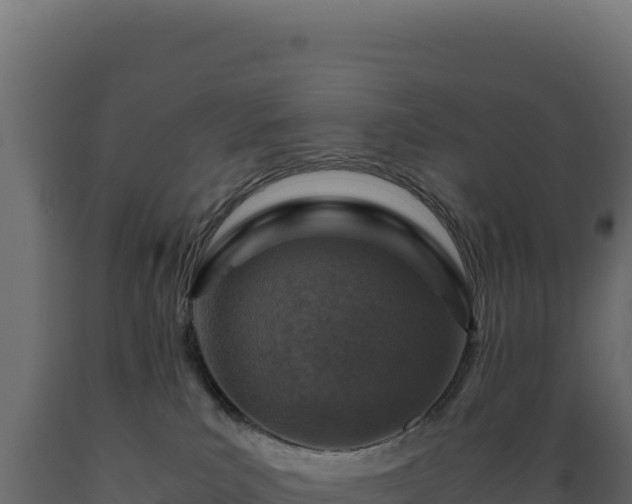 X0000089950039200707061129