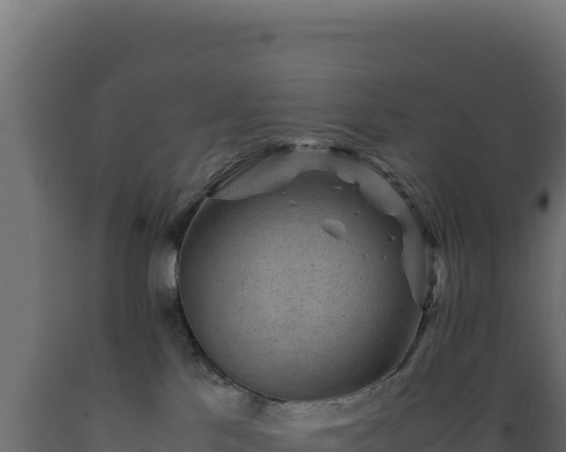 X0000089950041200707061129