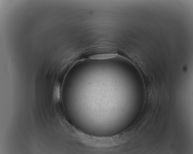 X0000089950042200707061129