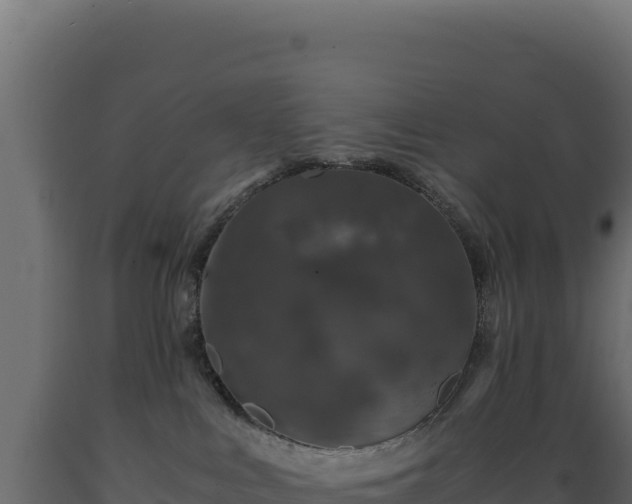 X0000089950043200707061129