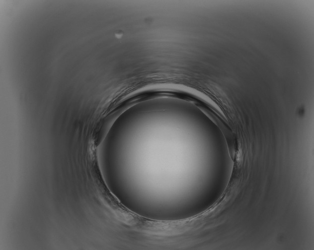 X0000089950045200707061129