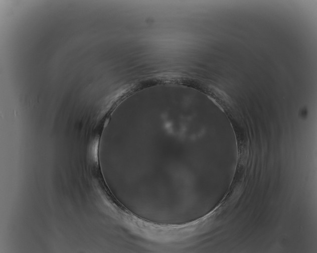 X0000089950047200707061129
