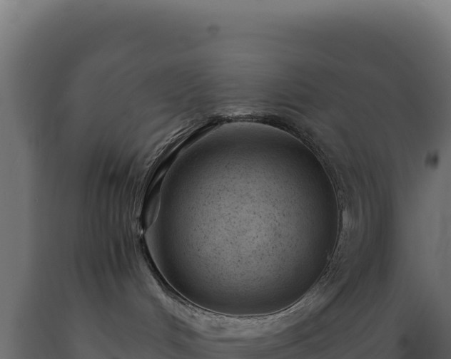 X0000089950048200707061129