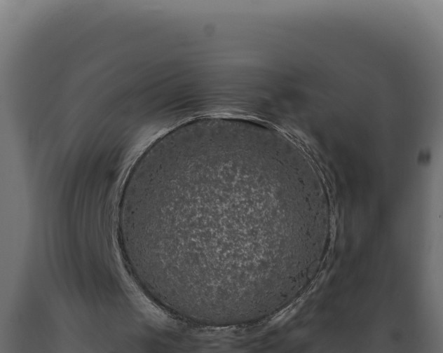 X0000089950049200707061128
