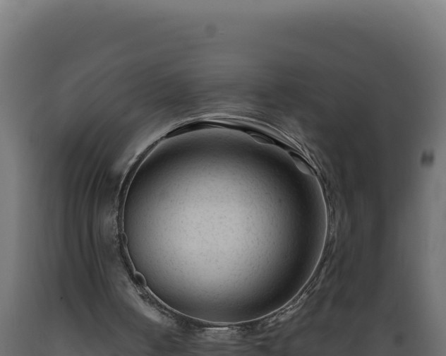 X0000089950050200707061128