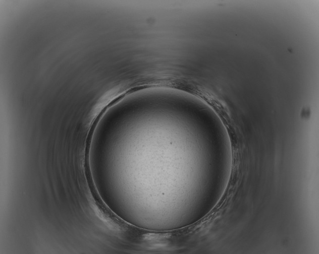 X0000089950051200707061128