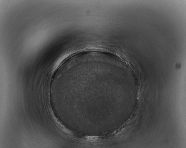X0000089950052200707061128