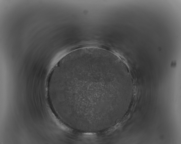 X0000089950053200707061128
