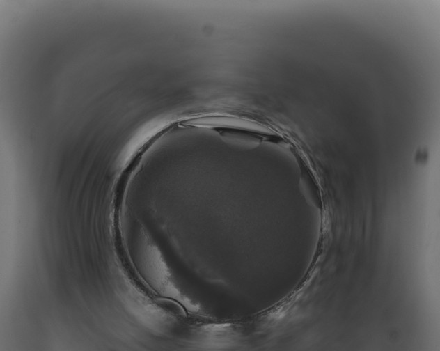 X0000089950054200707061128