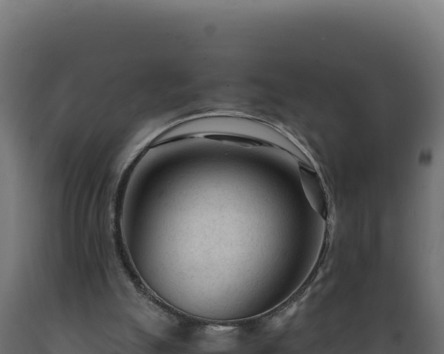 X0000089950055200707061128