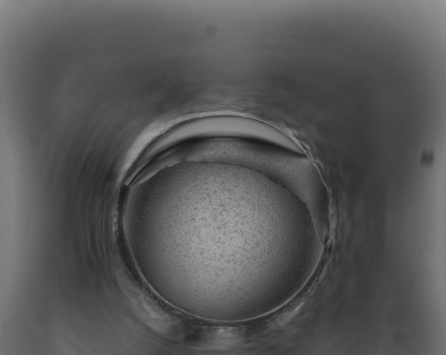 X0000089950056200707061128