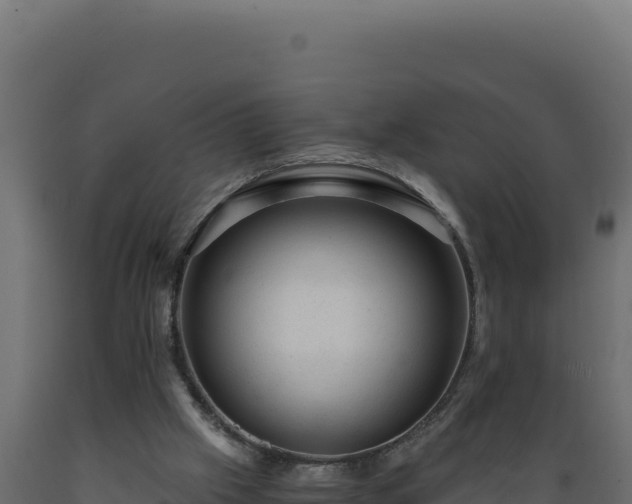 X0000089950057200707061128