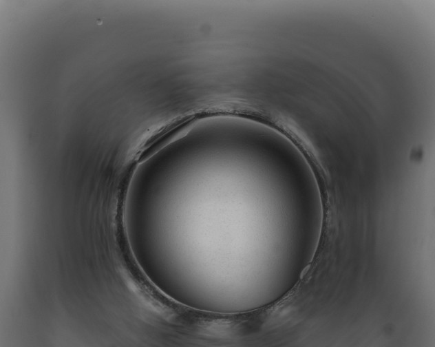 X0000089950058200707061128