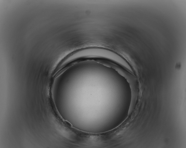 X0000089950060200707061128