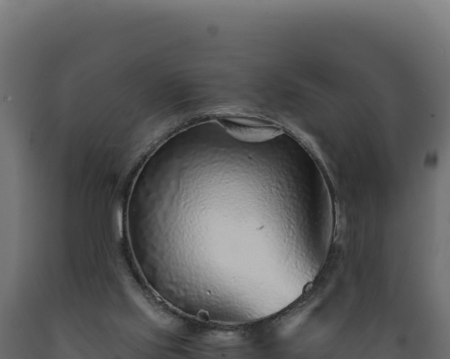 X0000089950061200707061128