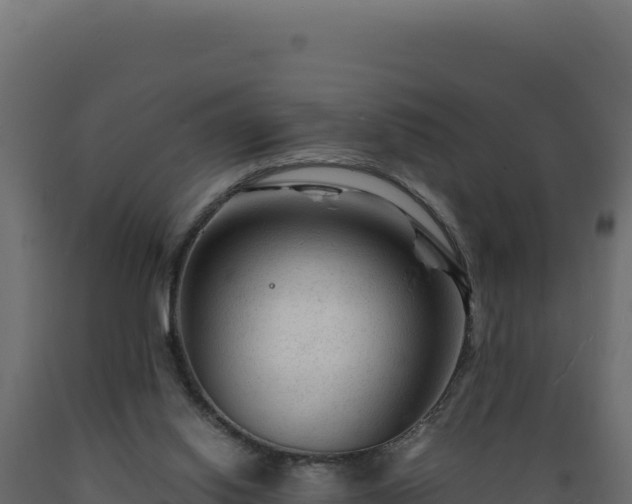 X0000089950062200707061128