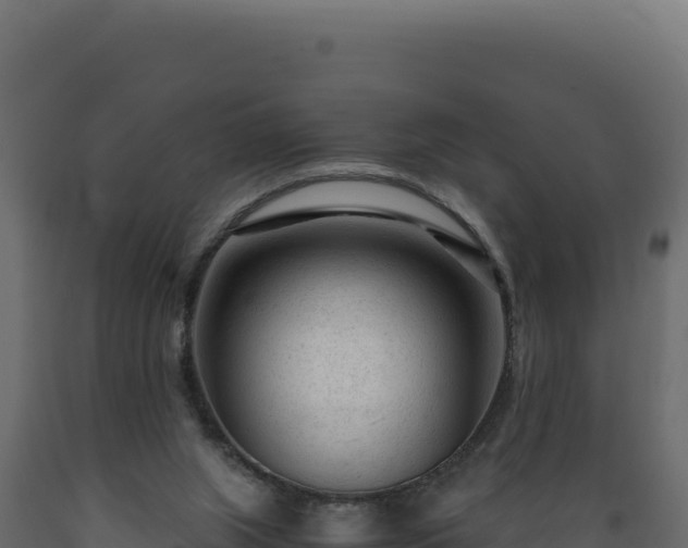 X0000089950063200707061128