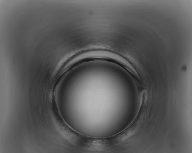 X0000089950064200707061128