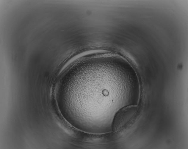 X0000089950065200707061128
