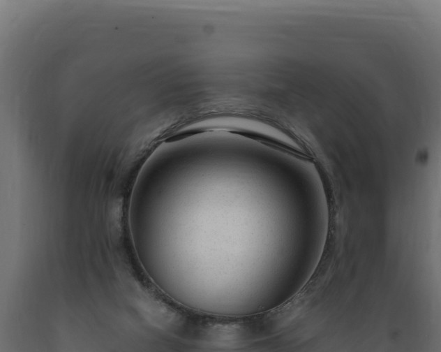 X0000089950066200707061128