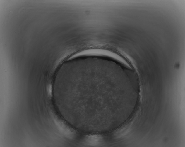 X0000089950067200707061128