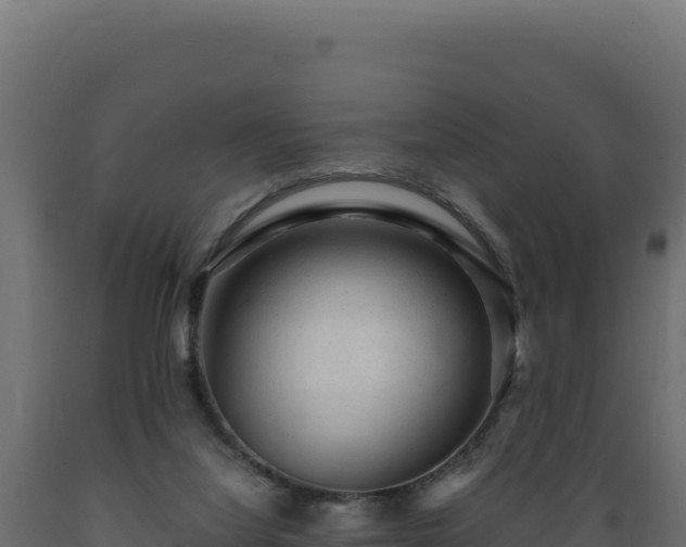 X0000089950068200707061128