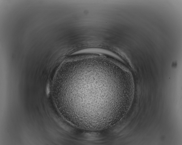 X0000089950069200707061128