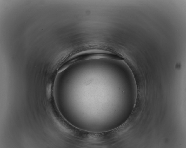 X0000089950070200707061128