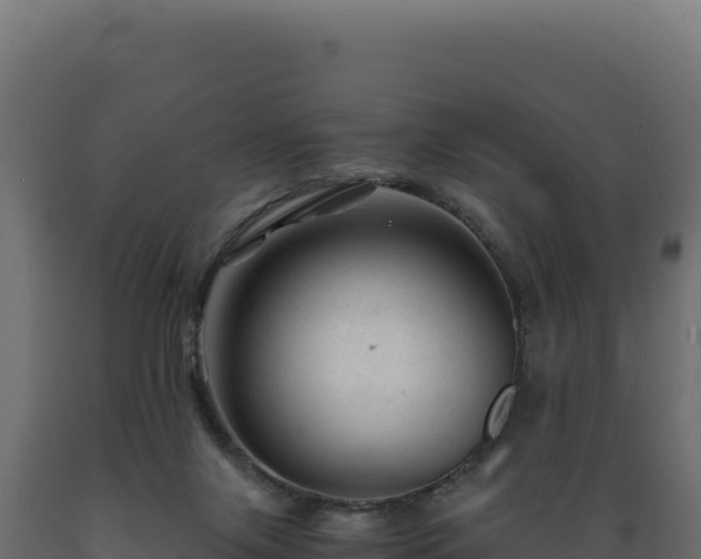 X0000089950071200707061128