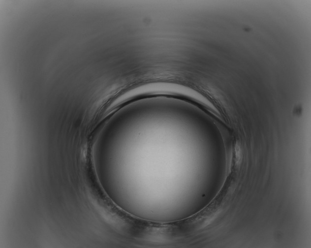 X0000089950072200707061128