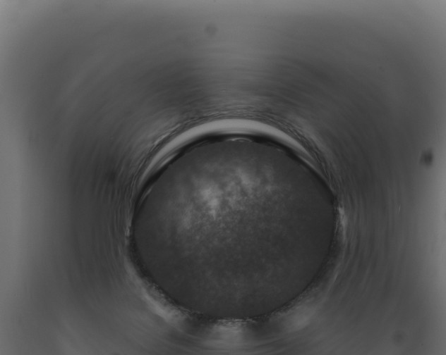 X0000089950076200707061129